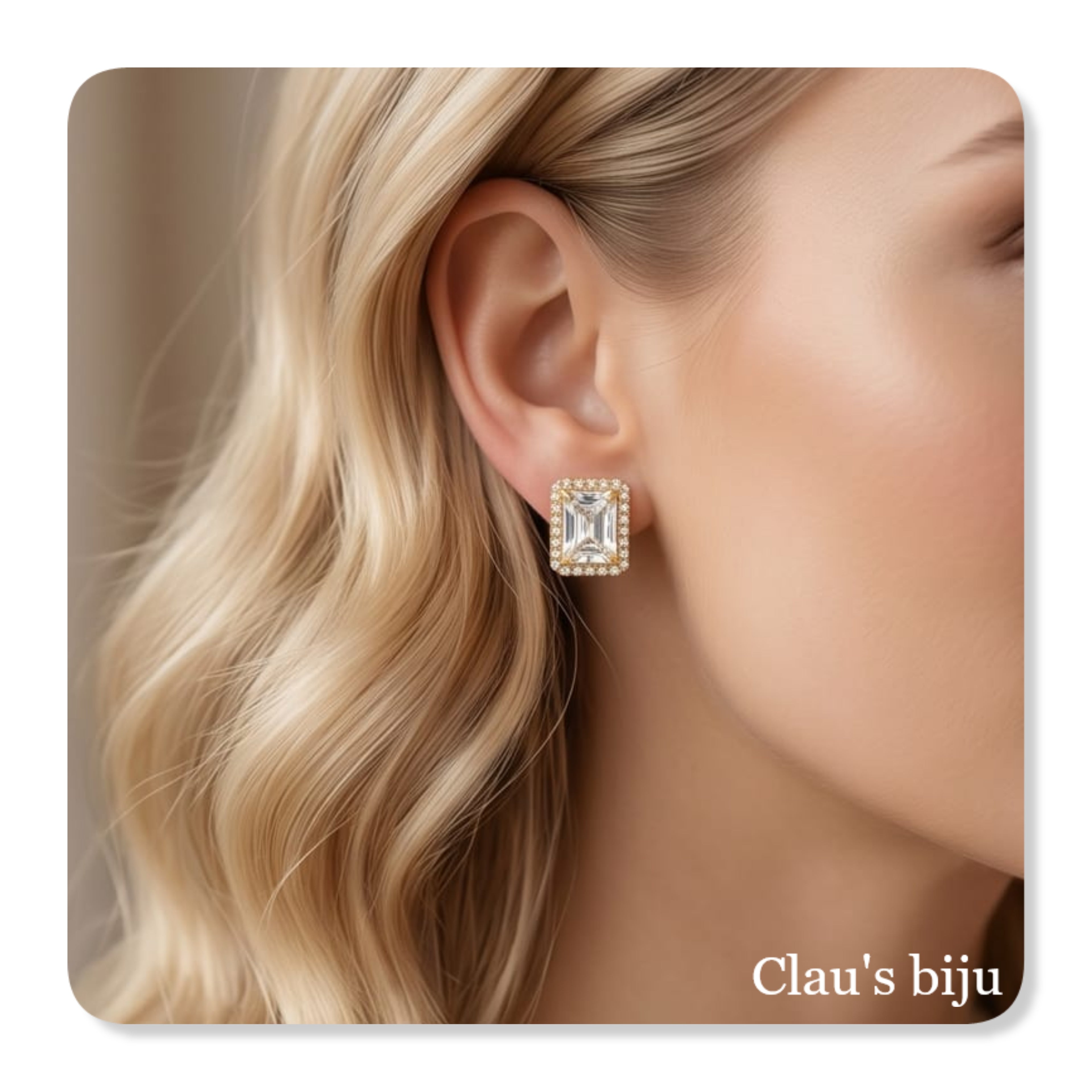 Steel earrings
